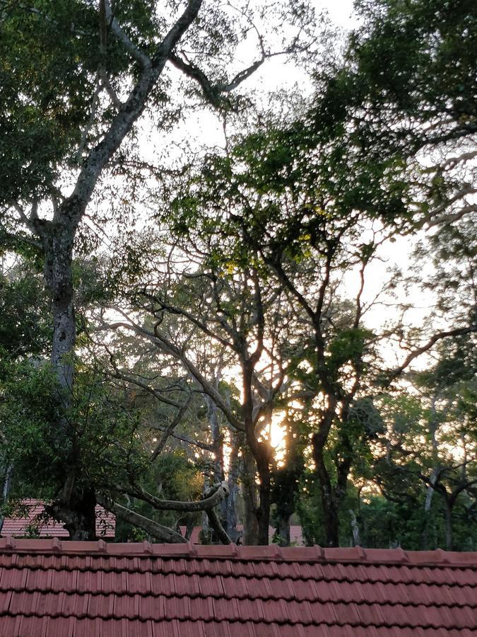 Hotel The Birchwood Retreat, Madikeri Exterior foto