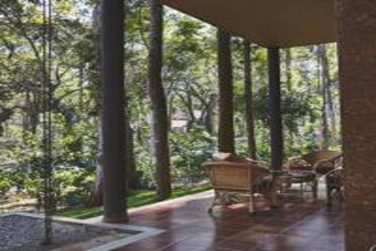 Hotel The Birchwood Retreat, Madikeri Exterior foto